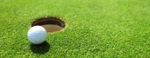 Managing Premier Golf Courses Without Chemicals