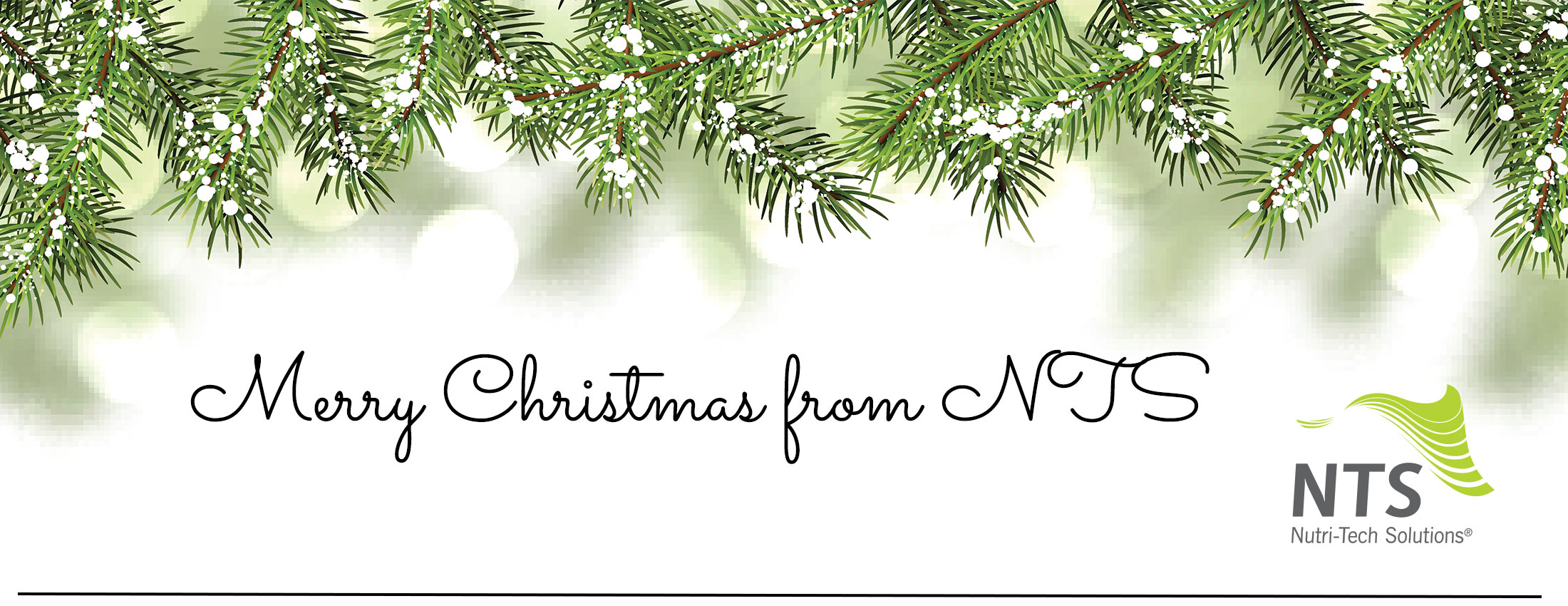 Christmas Considerations - Fine Tuning our Focus