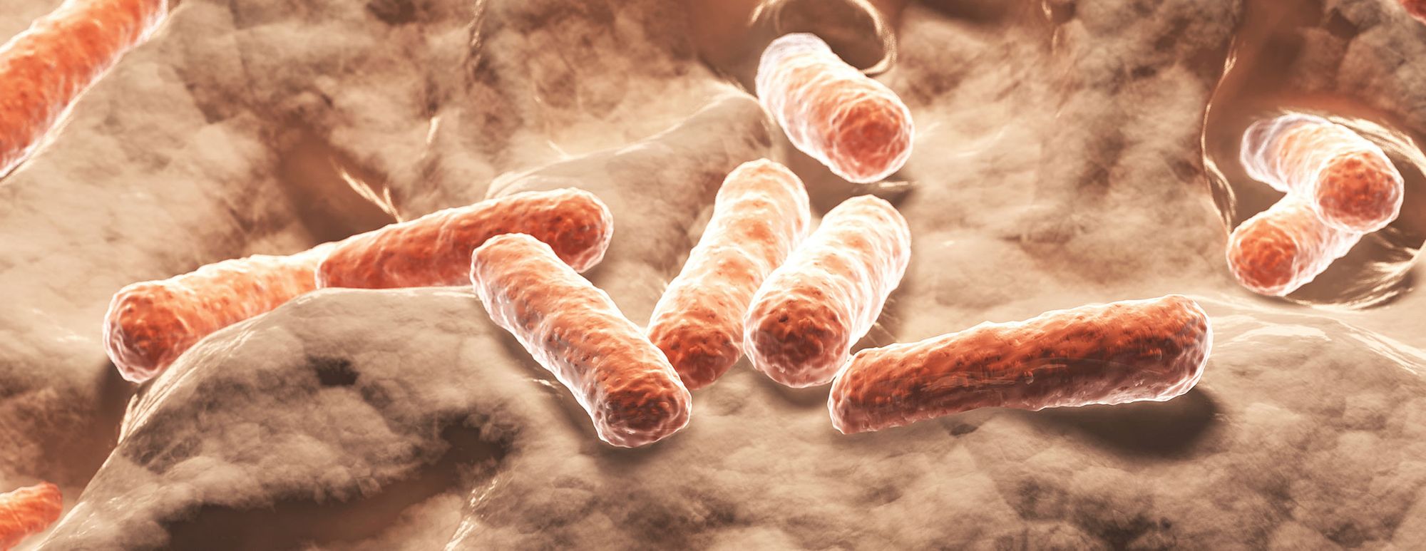 Free Recipe for DIY, Super-Productive Microbe Inoculum