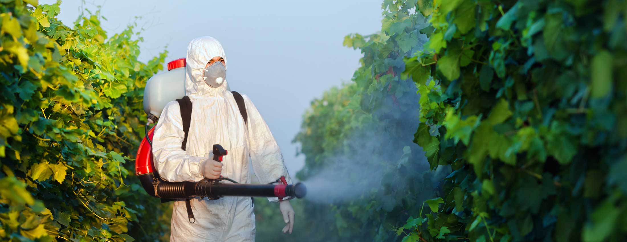 Is Glyphosate Sustainable? – A Closer Look At The World’s Favourite Farm Chemical