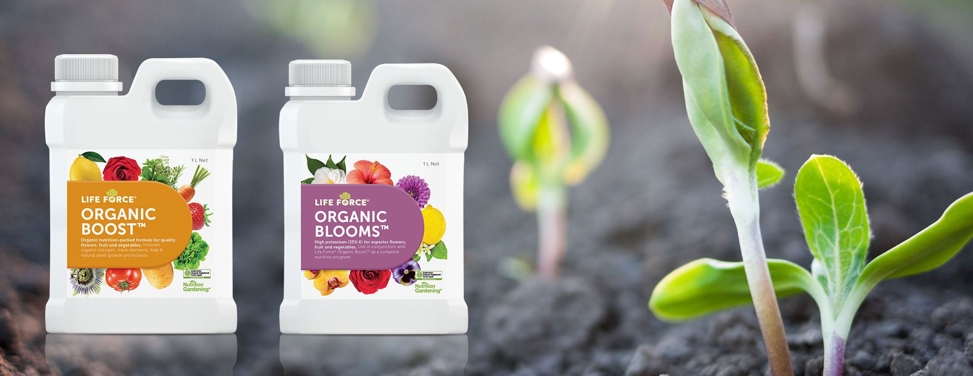 NTS Launches Organic Home Garden Products