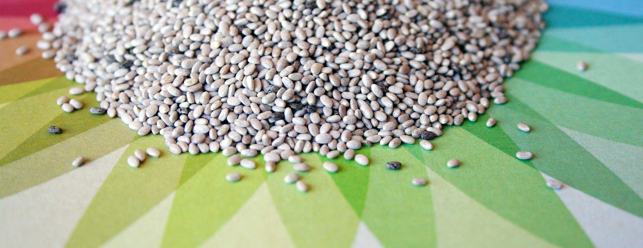 Chia – Anatomy of a Superfood