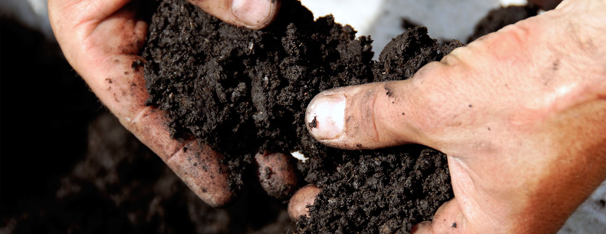 Soil & Leaf Testing – A Critical Step for Profitable Crops