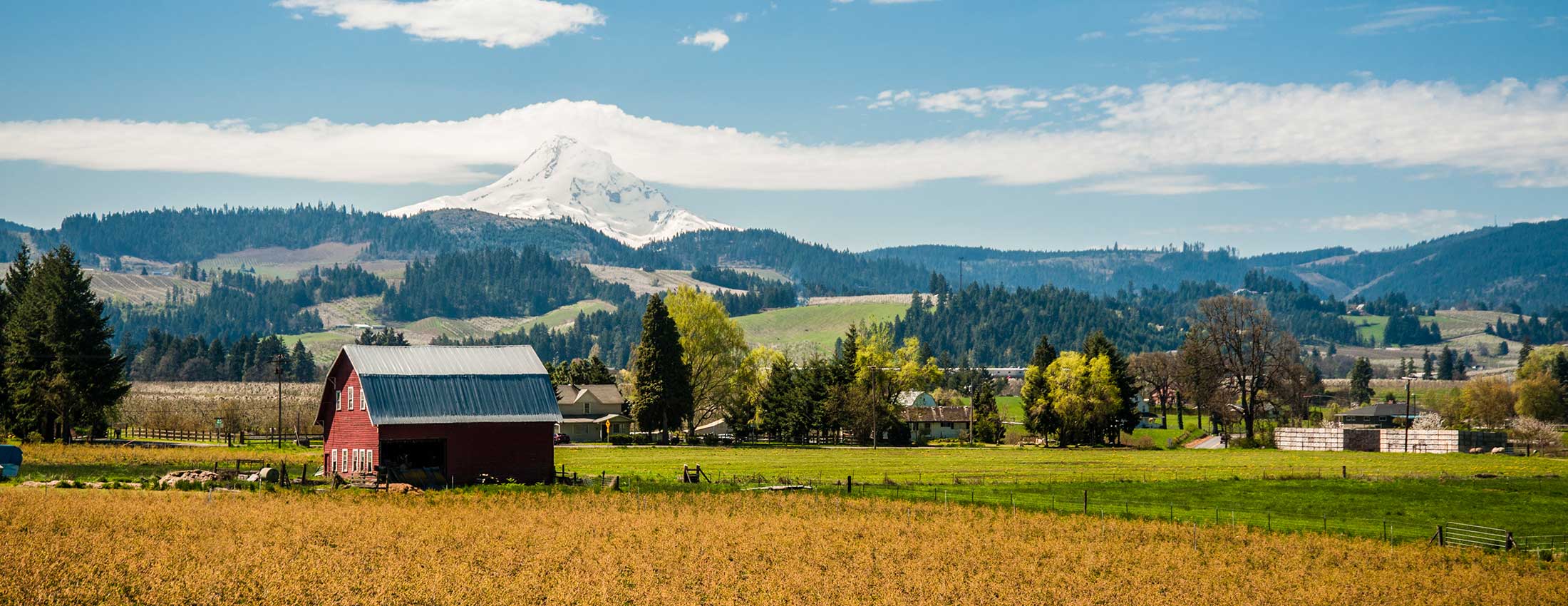 Upcoming North American Seminar Tour Upcoming North American Seminar Tour