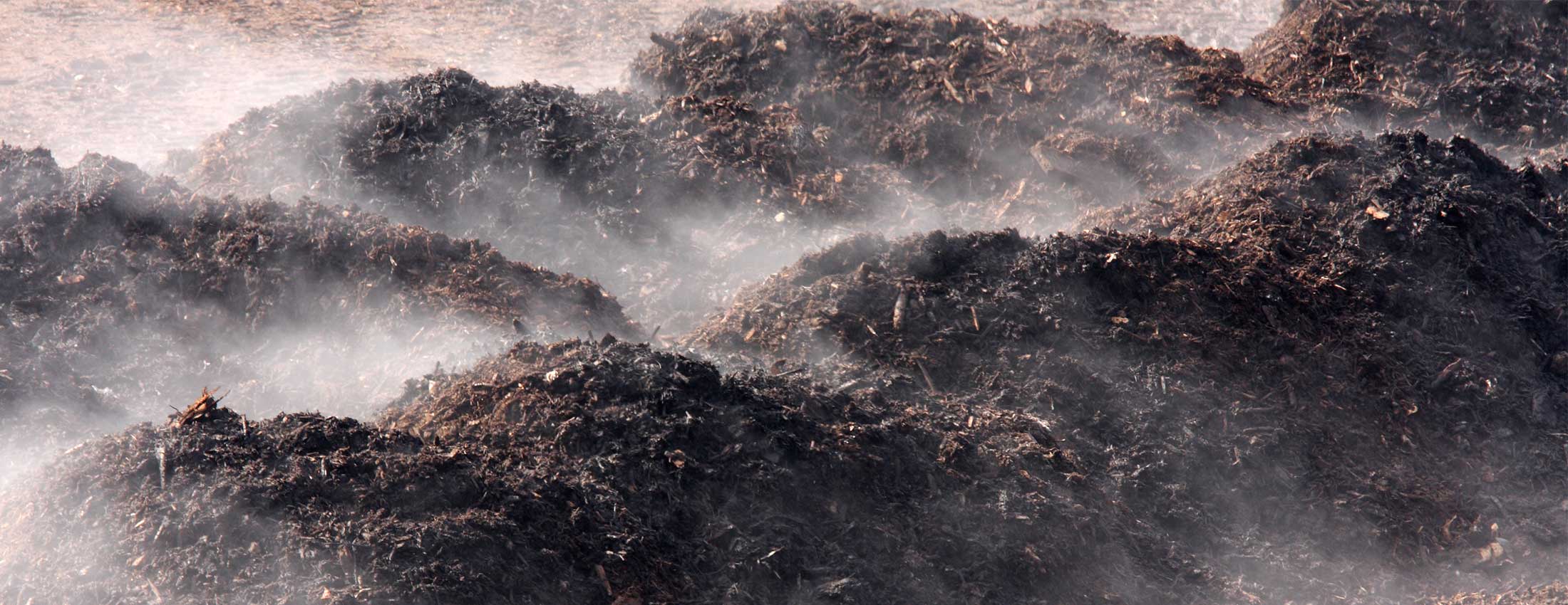 The Planet Saving Potential of Compost