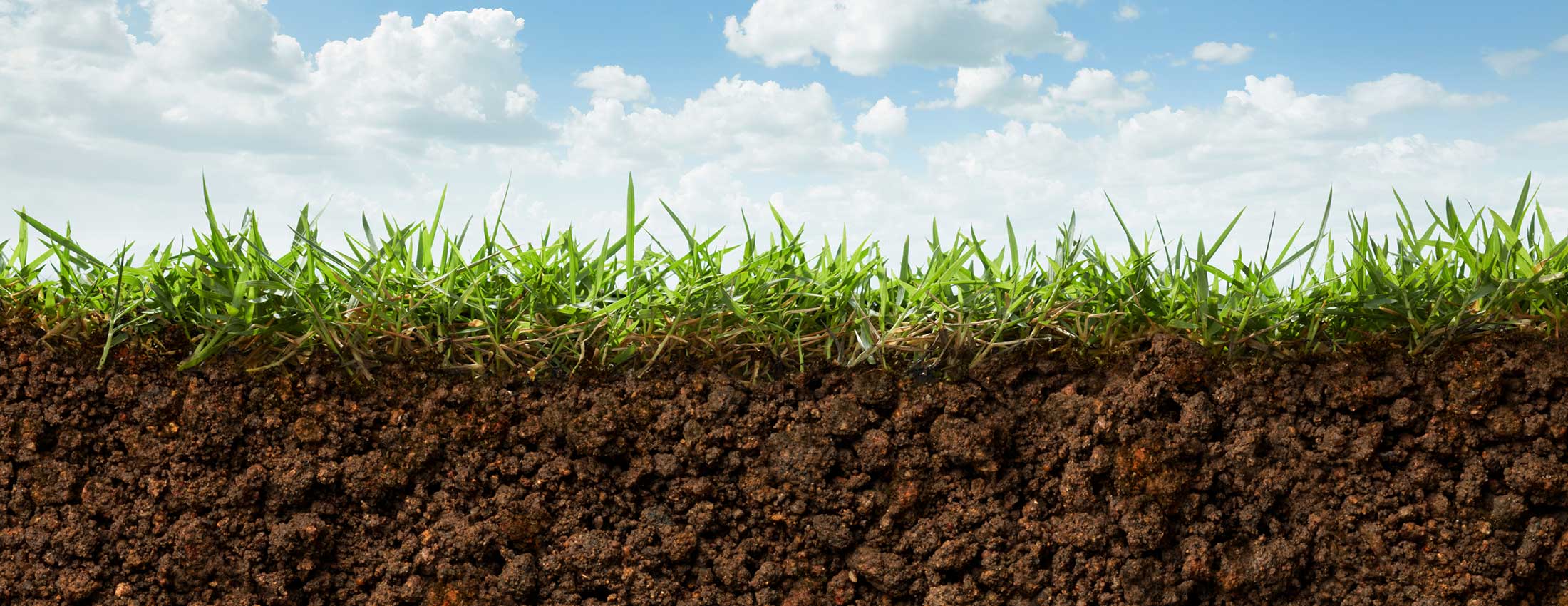 Creating Disease Suppressive Soils – Part 1