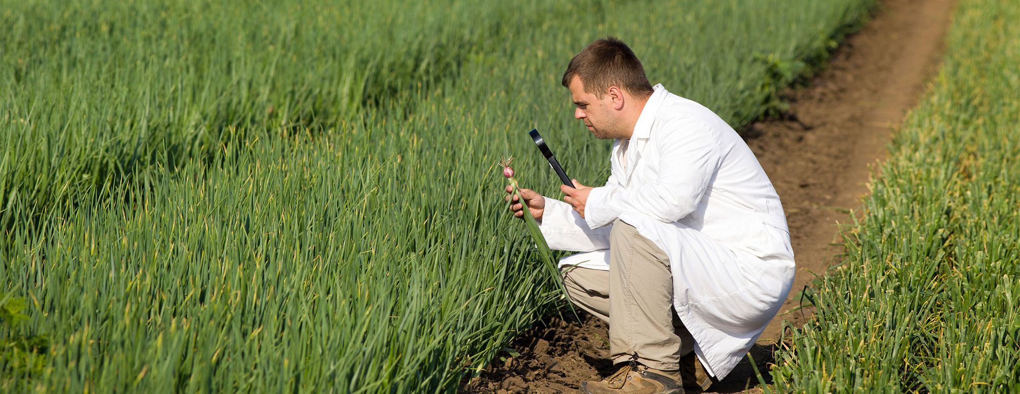 Super Cool Tools – Less Guesswork when Monitoring Plant and Soil Health