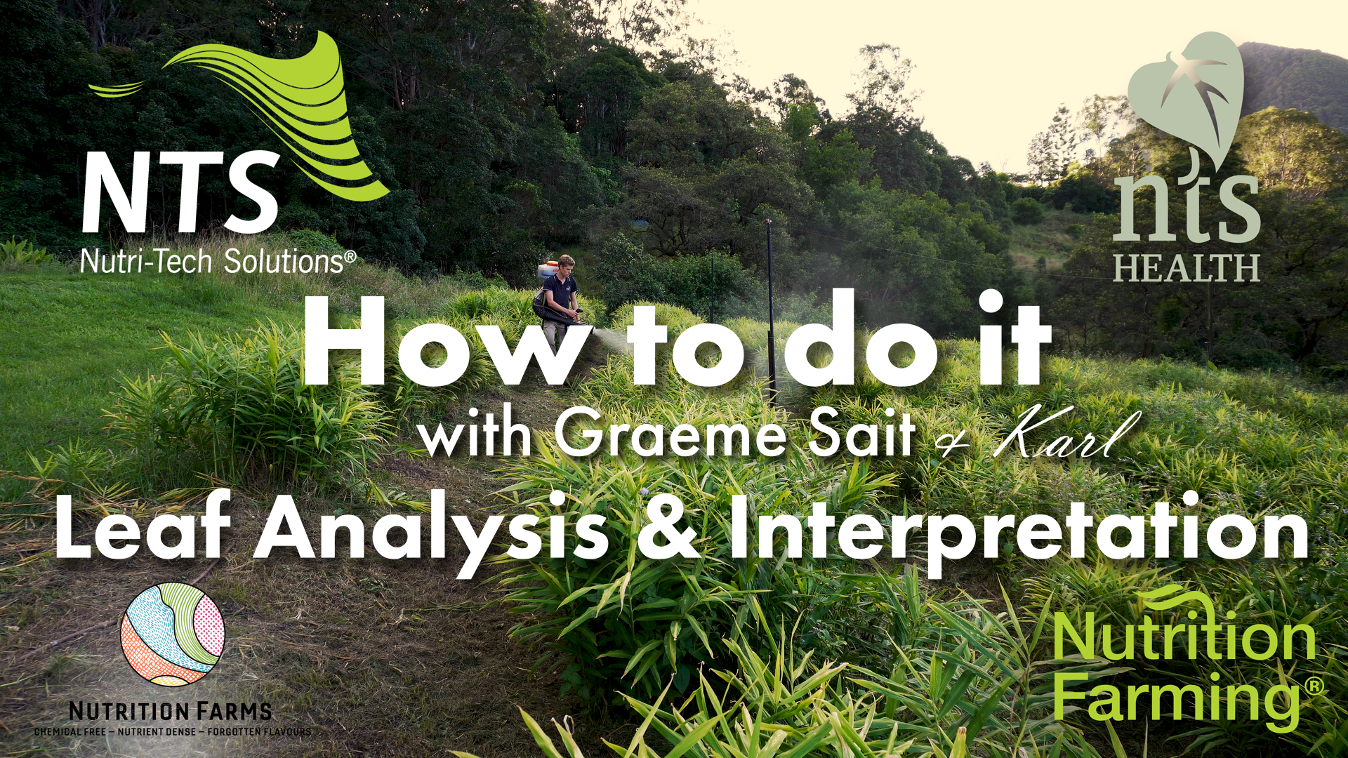 How to Do It Series - Episode 10 - Leaf Analysis & Interpretation