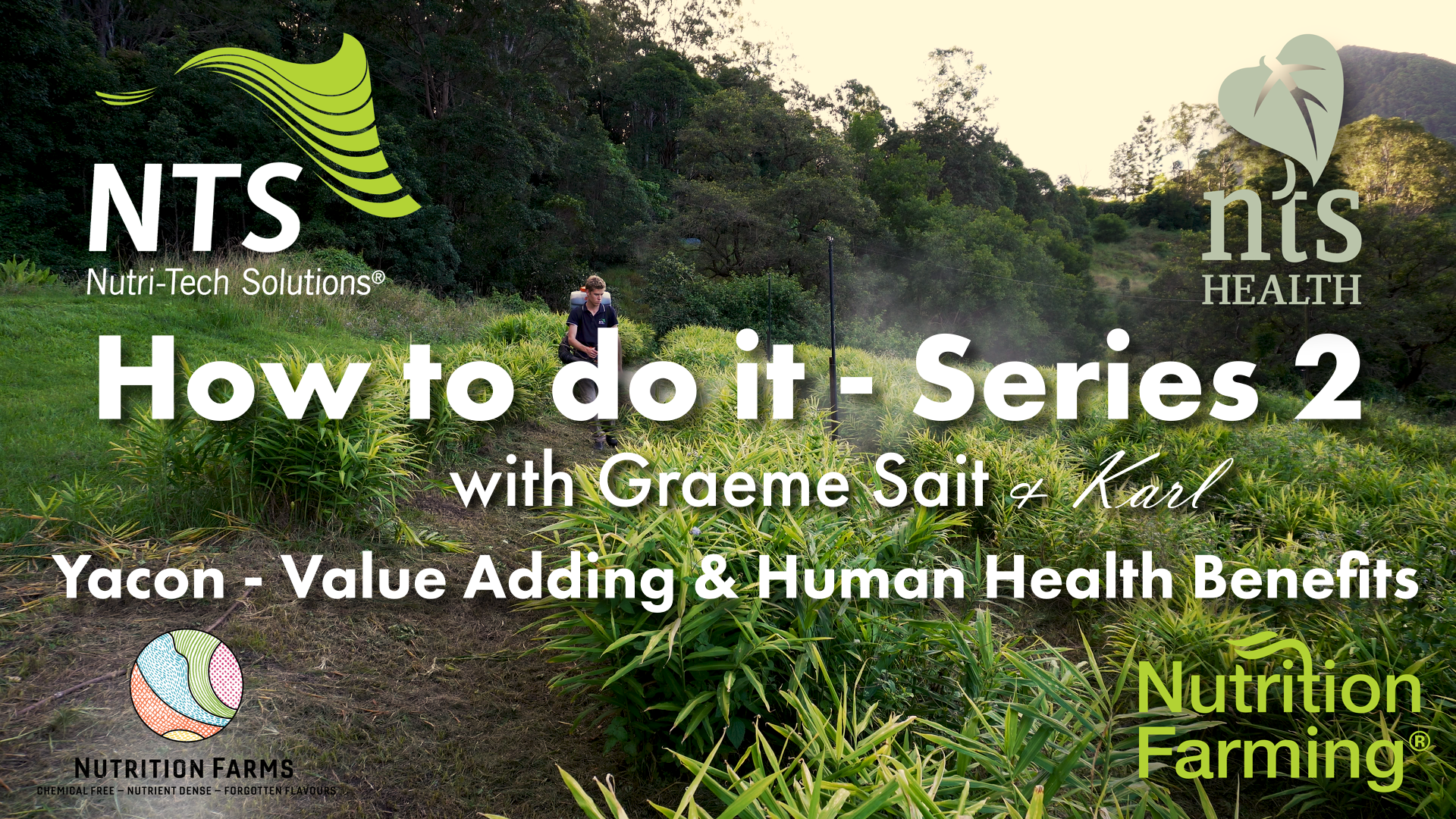 How to Do It Series 2 - Episode 6 - Yacon - Value Adding & Human Health Benefits