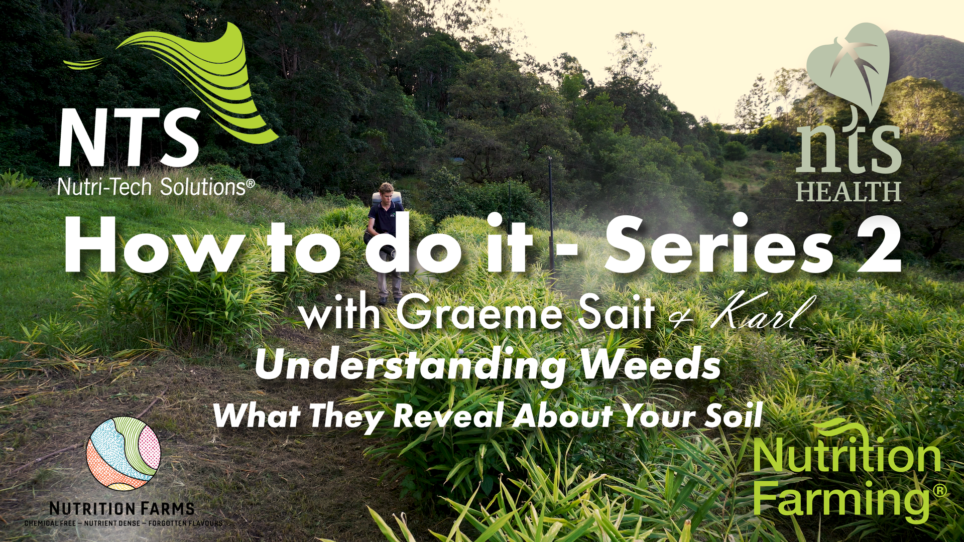 Understanding Weeds: What They Reveal About Your Soil - Episode 15 -  How to Do It Series 2