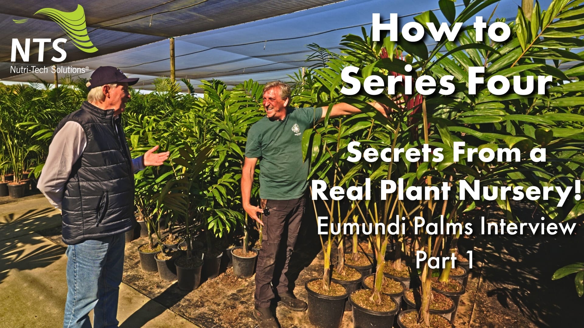 🌱Secrets From a Real Plant Nursery🌿Eumundi Palms Interview - Part 1 - How to S4E8