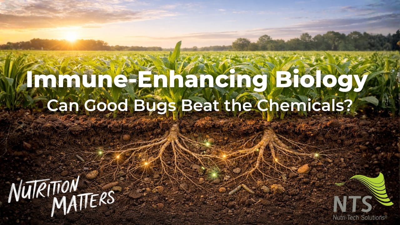 🌱Immune-Enhancing Biology - Can Good Bugs Beat the Chemicals?🌿