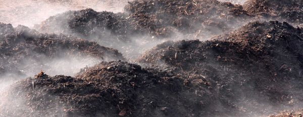 The Art and Science of Composting