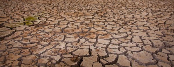 An Holistic Approach to Drought Mitigation