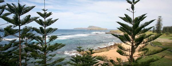 Success on Norfolk Island