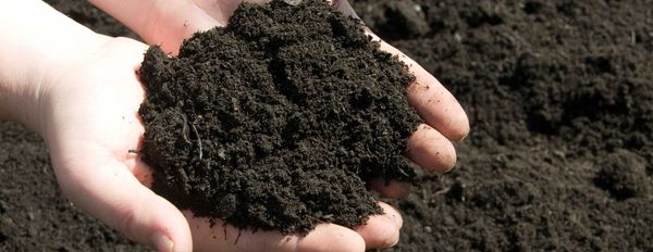 7 Reasons To  Purchase a Soil pH Meter
