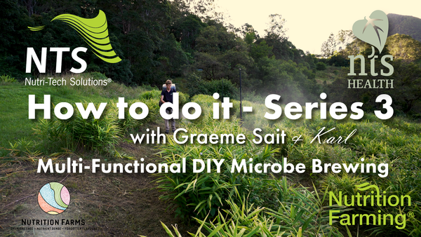 🌱How To Make Your Own Thriving Microbial Brews At Home!🌿