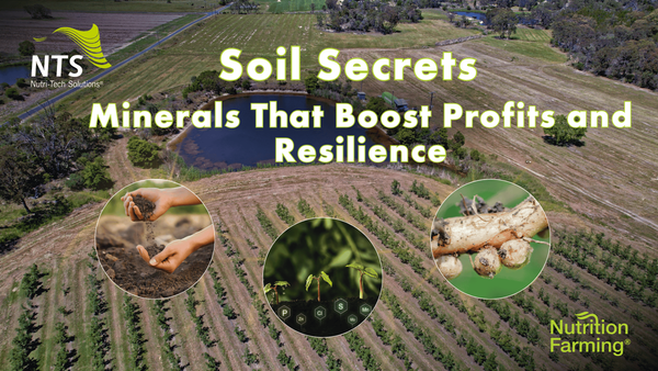 🌱Soil Secrets Every Farmer Should Know - The Missing Minerals That Boost Profits and Resilience🌿