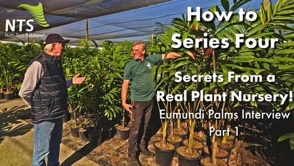 🌱Secrets From a Real Plant Nursery🌿Eumundi Palms Interview - Part 1 - How to S4E8