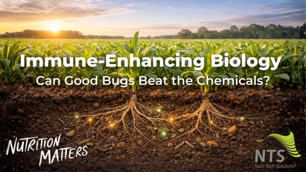 🌱Immune-Enhancing Biology - Can Good Bugs Beat the Chemicals?🌿