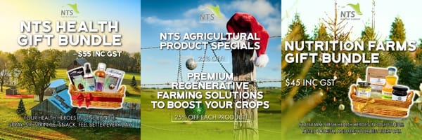 🌱2025 Christmas Specials & Office Closure🌿